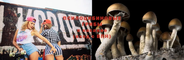винт Михайловка