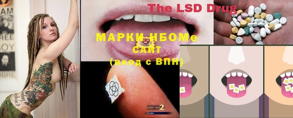 хмурый Михайловск