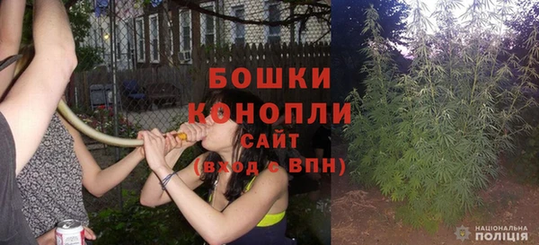 хмурый Михайловск